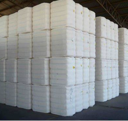 Premium Cotton